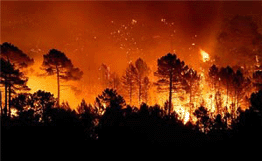 К тушению пожара в Национальном парке Шахдаг мобилизованы сельчане