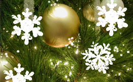 С Новым 2011 Годом!