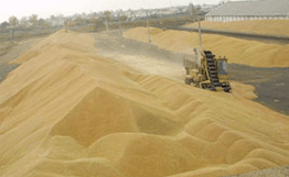 В Азербайджане до 1 августа 2011 отменен НДС на импорт зерна В Азербайджане до 1 августа 2011 отменен НДС на импорт зерна